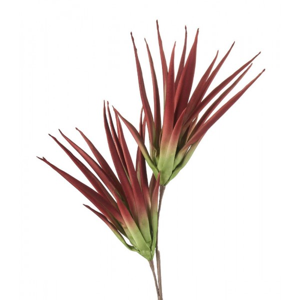 L'Oca Nera Aloe Selvatico Marsala in Eva-POLIETILENE ESPANSO  Fiore Artificiale