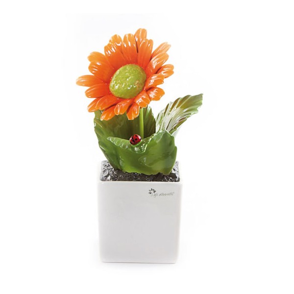 Gli Alberelli Gerbera Arancione pianta quadra Capodimonte Profumatore