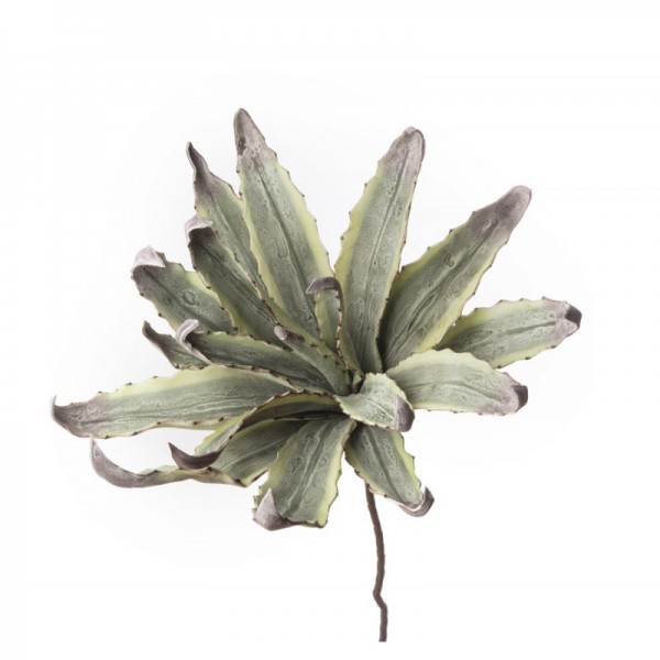 L'Oca Nera 1P124 Agave in Eva-POLIETILENE ESPANSO  Fiore Artificiale